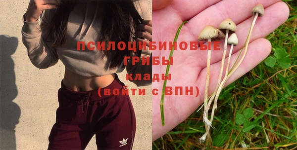 мяу мяу мука Алексеевка