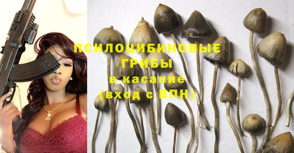 spice Покров